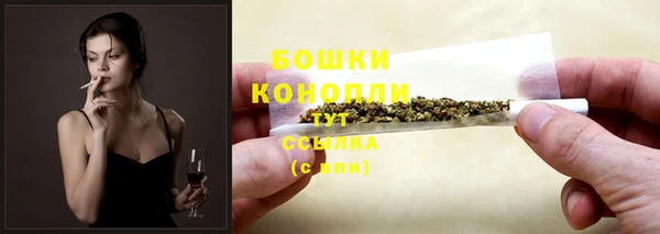 ПСИЛОЦИБИНОВЫЕ ГРИБЫ Котовск