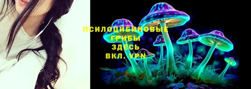 Псилоцибиновые грибы Psilocybine cubensis  Краснотурьинск 