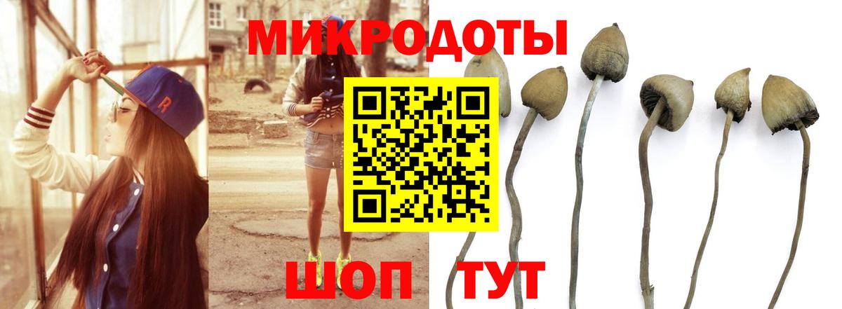 Псилоцибиновые грибы Magic Shrooms  Галлюциногенные грибы Psilocybine cubensis  Вход с VPN  Краснотурьинск 